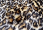 Preview: Kurzhaarfellimitat Plüsch Plüschstoff Leopard Plüsch Leopard braun Kunstfell Fellstoff Kunstfell Plüsch brauntöne brauner Leopardenstoff