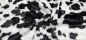 Preview: 1466-Wellness Tiger Fleece Microfaserfleece Tiger Tiger Wellnessfleece Tiger Happyfleece Fleece Wellnessfleece zweifarbig Softfleece Dudufleece Doudou doppelseitiger Wellnessfleece