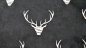 Preview: Stick-His, gestickte Hirsche, bestickter Velour mit Hirschköpfen  Deco-Line Eigenproduktion, Polstervelour mit gestickten Hirschköpfen, gestickte Hirschgeweihe, Möbelstoff mit Hirschköpfen,  Polsterstoff Velourstoff schwarz mit elfenbeinfarbenen Hirschen,