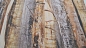 Preview: Holzstoff Stoff mit Holzbrettern Digitaldruck mit Holzdesign Stoff mit Holzmuster Holzbretter als Stoff Digitaldruck ideal für Dekozwecken - Kissenstoff  Tischdeckenstoff  Gardinenstoff  Stoff mit Holzlatten
