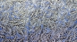 Preview: Noteboom 16316-006 Mimose Mimoseblätter Blätter der Mimose Mimosenstoff Viskose Blätter Mimosenblatt Blattstoff Viscose mit Blättermuster  Stoff blaue Viskose blauer Viskosestoff weich-fließender Viskose nähen selber nähen Blusenstoff nähen macht glücklic