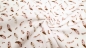 Preview: Mini Waffel Jersey Waffeljersey Waffelstoff Waffelpiket Piquet Mini Waffel mit Feder Federn Feathers Miniwaffelstoff für Babys Babykleidung Waffelpiket Babynestchen Snoozy Fabrics   Feder Federn Feathers