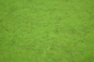 Preview: Wollfilz ca.3mm meliert - lemongreen 100 % Schurwoll Filz - 50x90cm