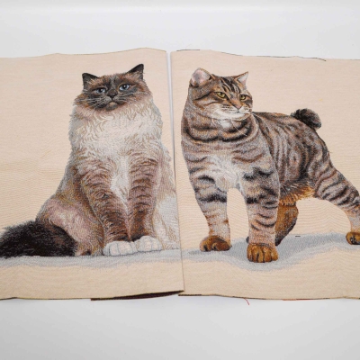 1446-Panel Set Miezis Perser Katze Perser Colour Point Colourpoint Perser Katzen Panel Set Japanese Bobtail Katze Tiger Kater als Panel Katze Panel mit Katzen