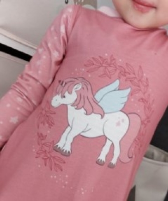 SW146Q pegahörnchen Panel Panel by emmapünktchen design Jersey Kinder Panel pegahörnchen Pegasus Einhorn Kinderpanel Kinderpanel pegahörnchen Pegasus Einhorn