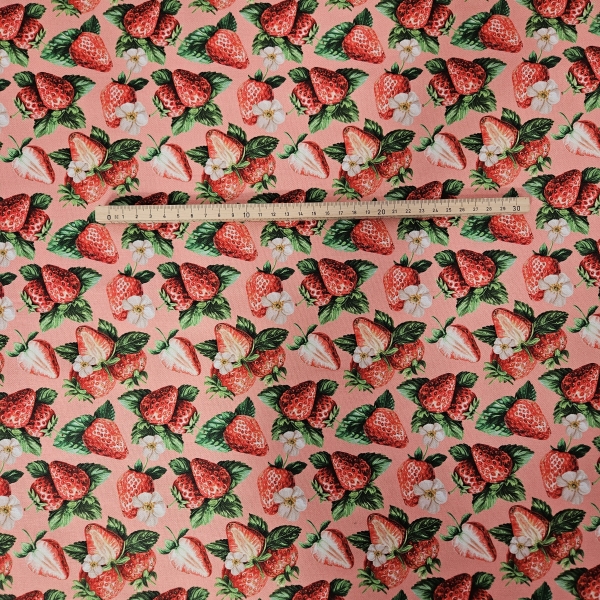 Erdbeerstoff Stoff mit Erdbeeren Dekostoff mit Erdbeer Design