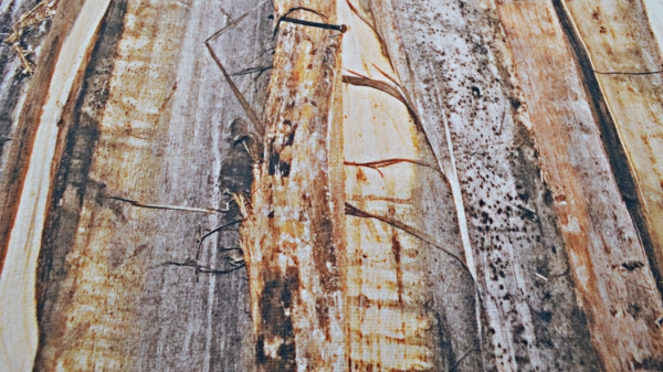 Holzstoff Stoff mit Holzbrettern Digitaldruck mit Holzdesign Stoff mit Holzmuster Holzbretter als Stoff Digitaldruck ideal für Dekozwecken - Kissenstoff  Tischdeckenstoff  Gardinenstoff  Stoff mit Holzlatten