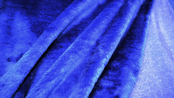 Classic Royal Blue Velvet Fabric