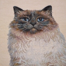 Perser Katze Perser Colour Point Colourpoint Perser Kater als Panel Katze Perserkatze Gobeline Panel mit Katze